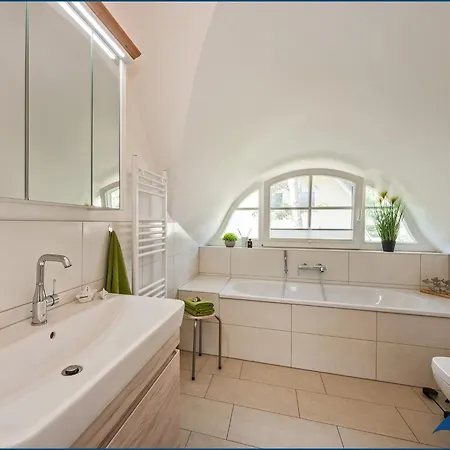 Fischerdorf Kuestenseeschwalbe *