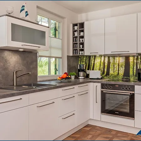 Fischerdorf Kuestenseeschwalbe * Zirchow